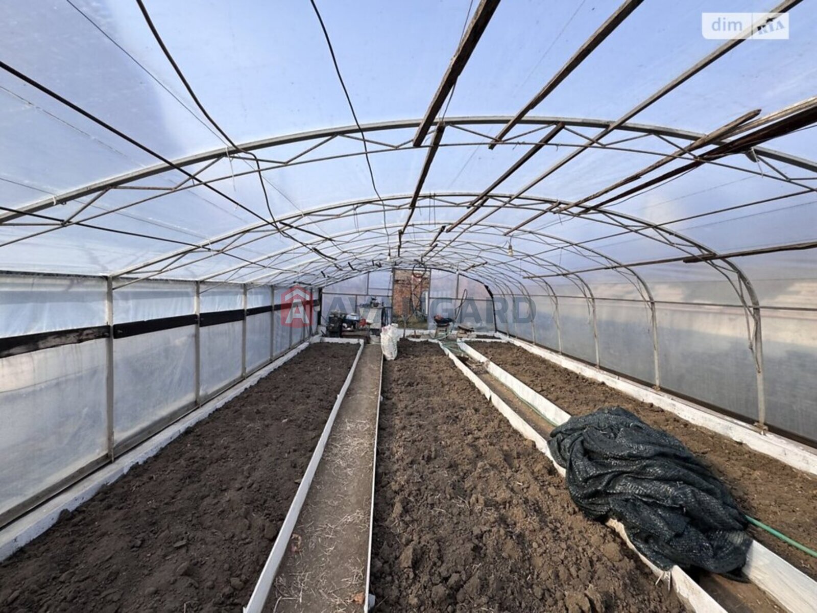 �������, 300 ��.�. ���� 10