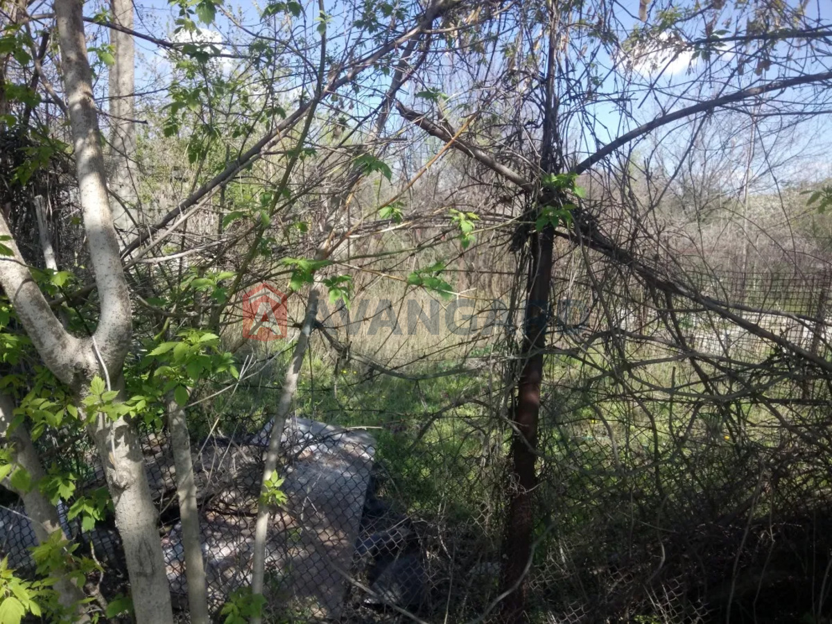 ������� �������, 42 ��.�. ���� 7