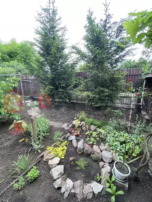 ���, 80 ��.�. ���� 15