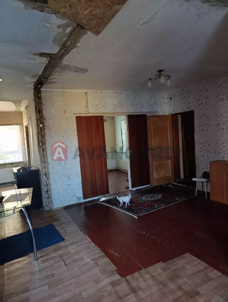 ���, 50 ��.�. ���� 5