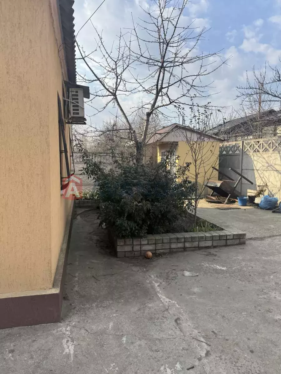 �������, 53 ��.�. ���� 14