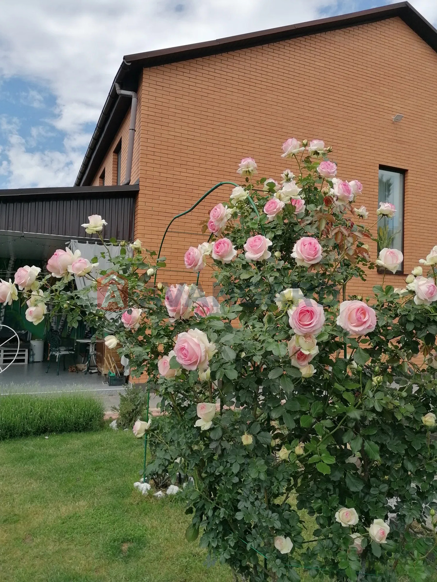 ��������, 130 ��.�. ���� 16