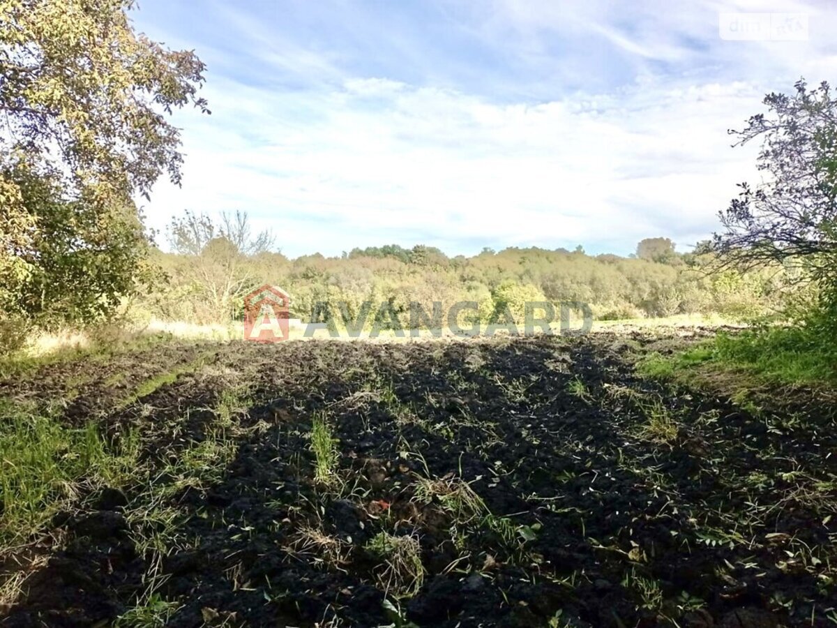 �������, 52 ��.�. ���� 14