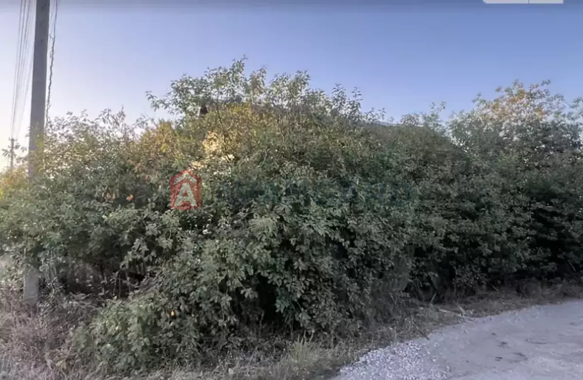 �������, 53 ��.�. ���� 5