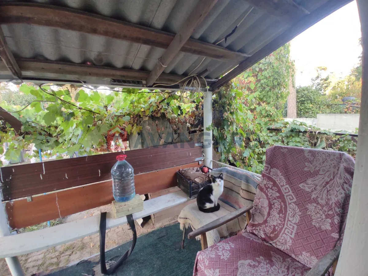 ������� �������, 50 ��.�. ���� 3