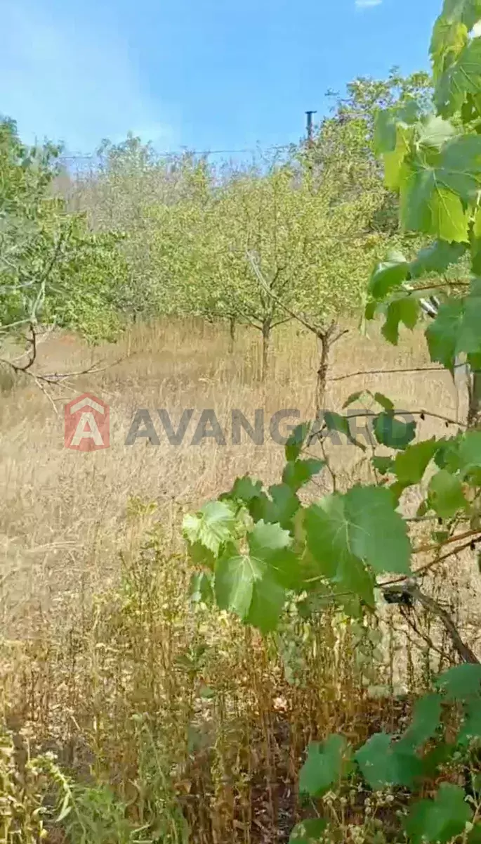 ����, 30 ��.�. ���� 2