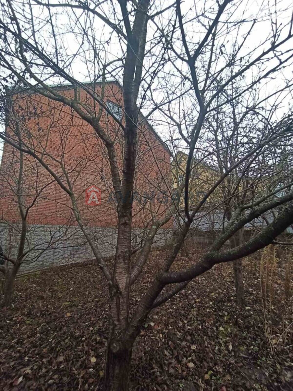 �������, 280 ��.�. ���� 14