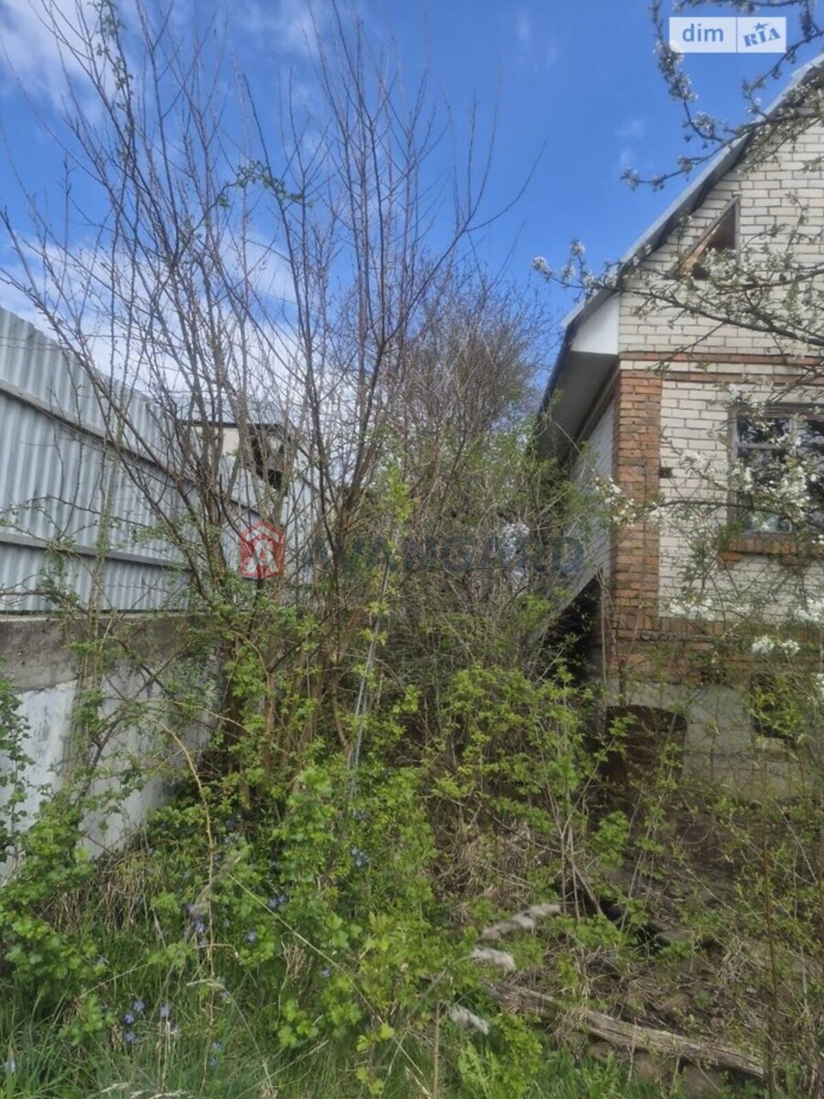 �������, 100 ��.�. ���� 7