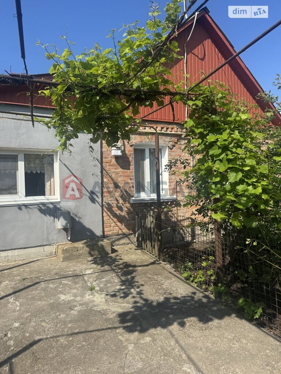�������, 88 ��.�. ���� 2