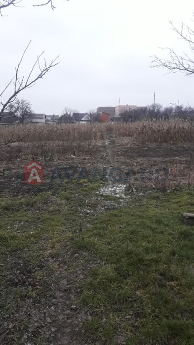 �������, 87 ��.�. ���� 19