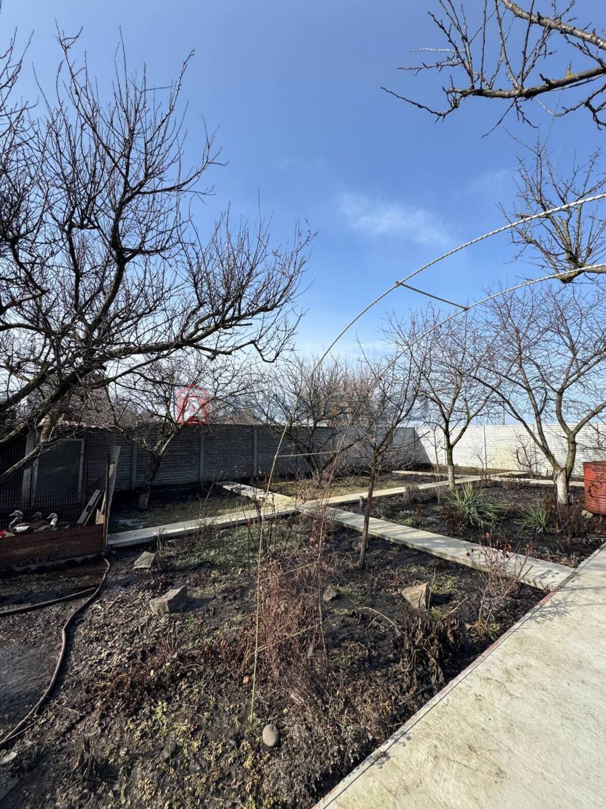 �������, 237 ��.�. ���� 5