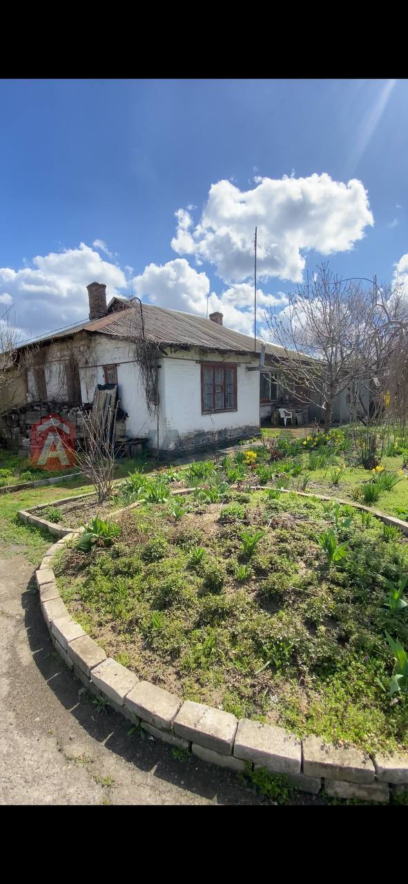 ������� �������, 40 ��.�. ���� 1