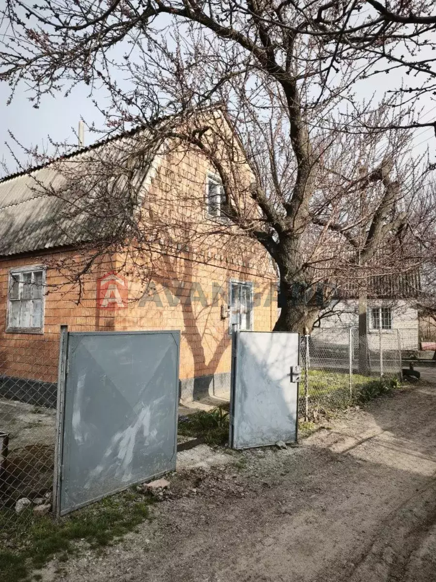 ����, 50 ��.�. ���� 4