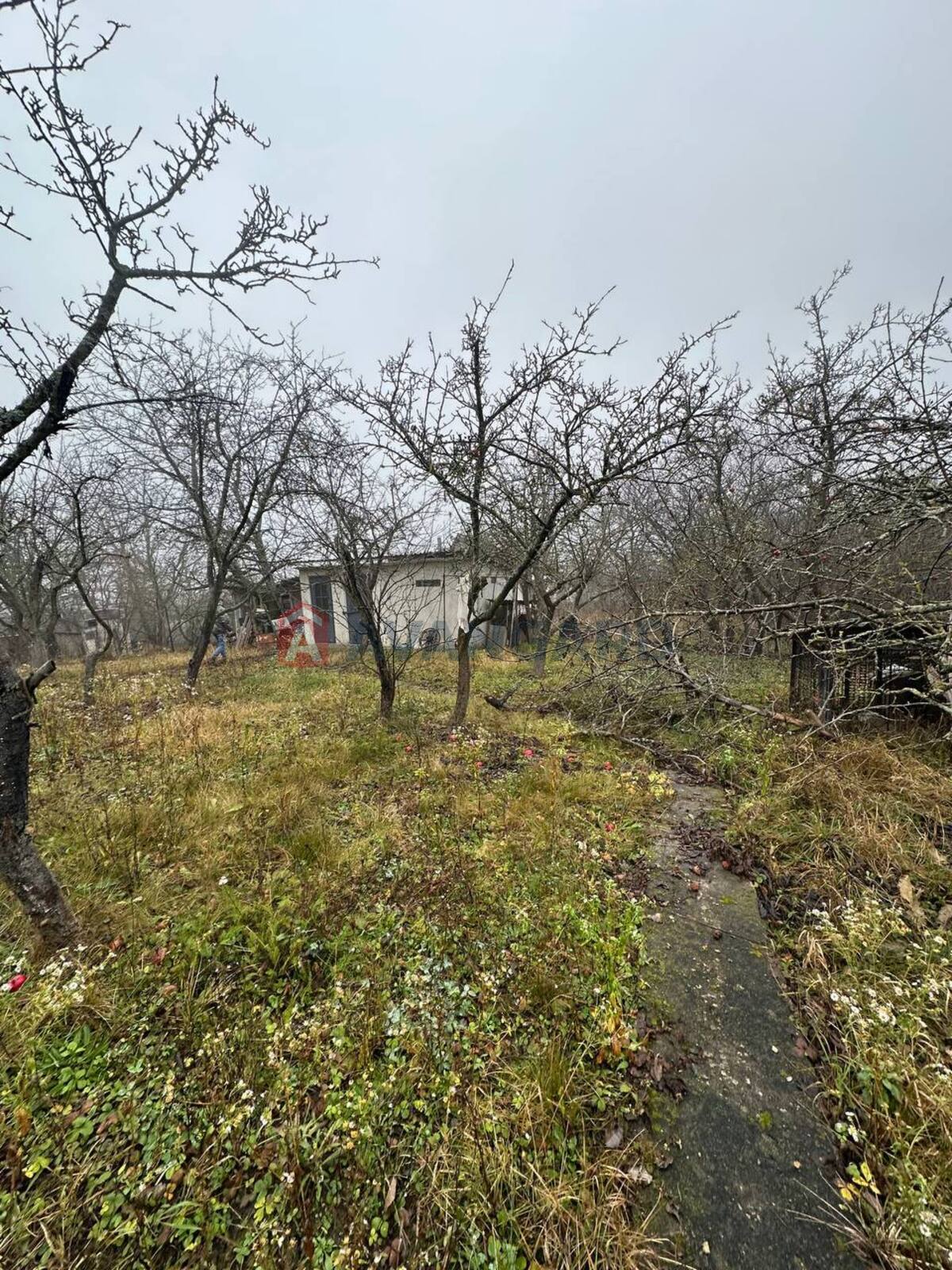 �������, 80 ��.�. ���� 12