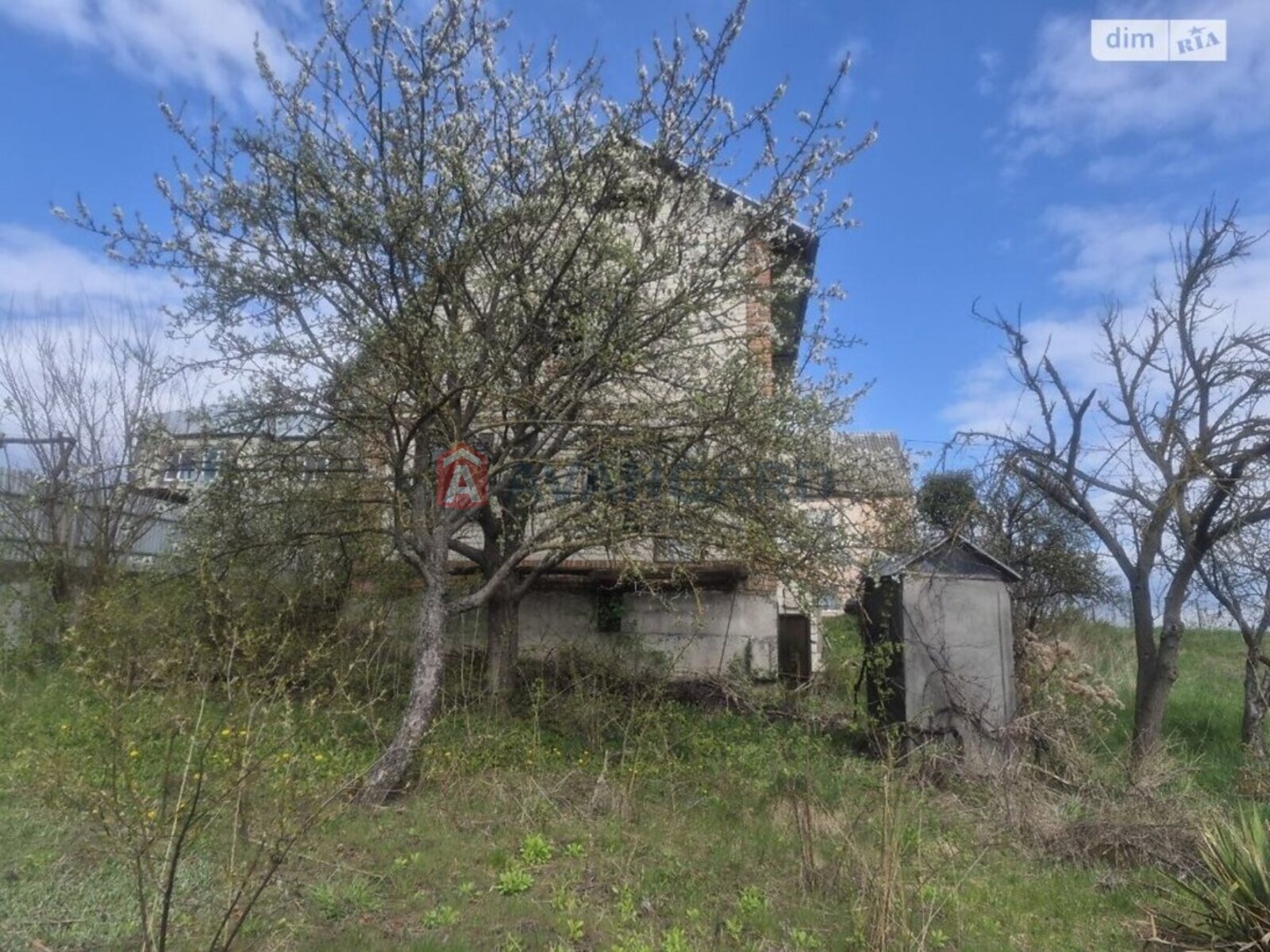 �������, 100 ��.�. ���� 8