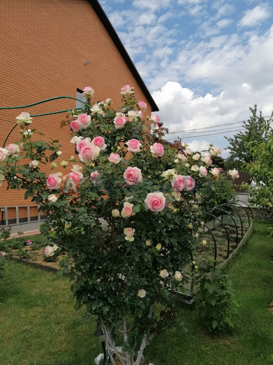 ��������, 130 ��.�. ���� 17