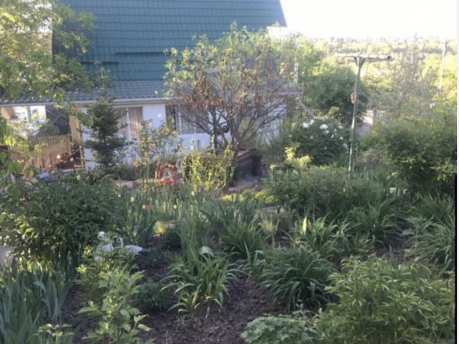 80 ��.�. ���� 11