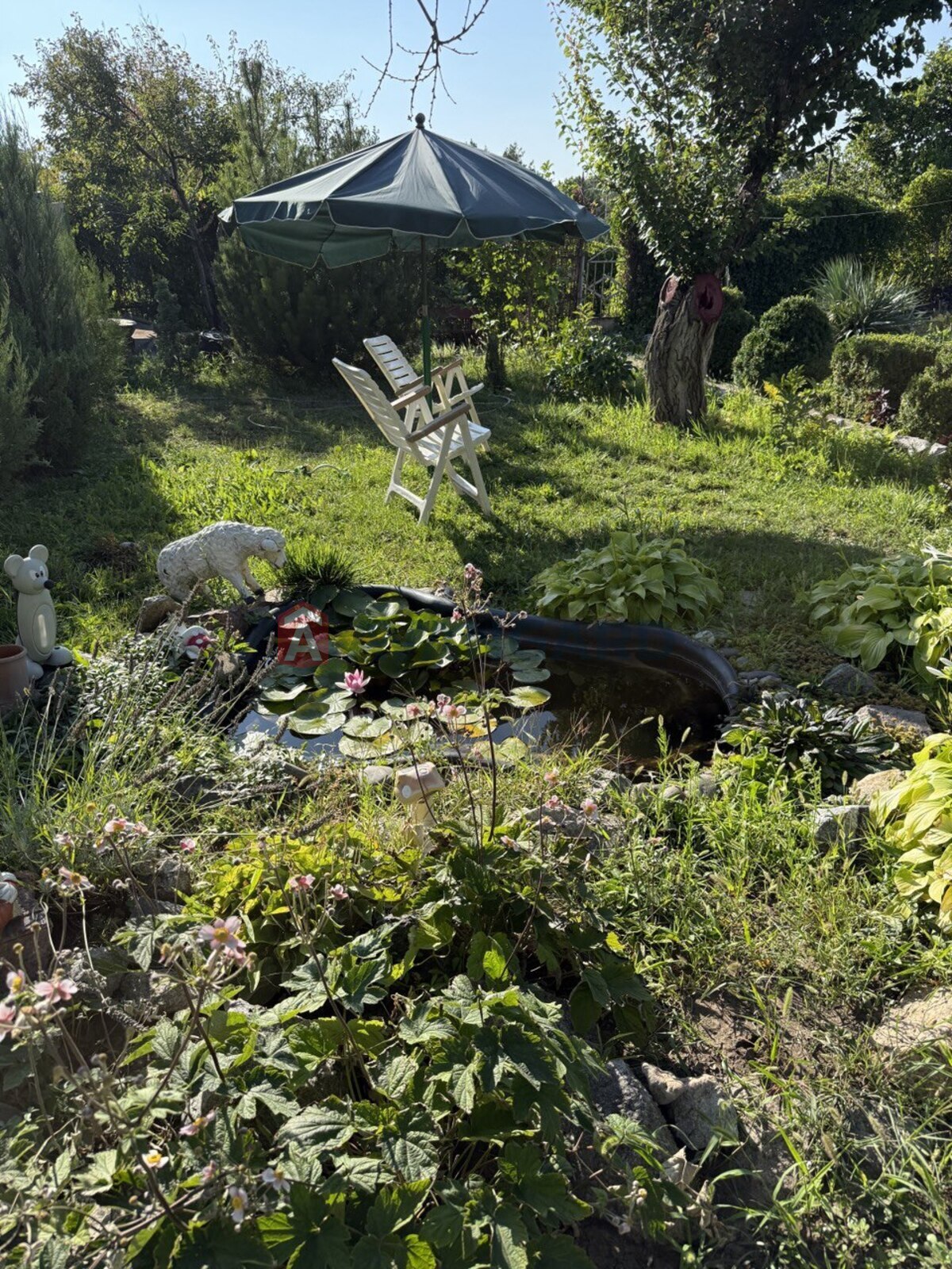 ����, 100 ��.�. ���� 20