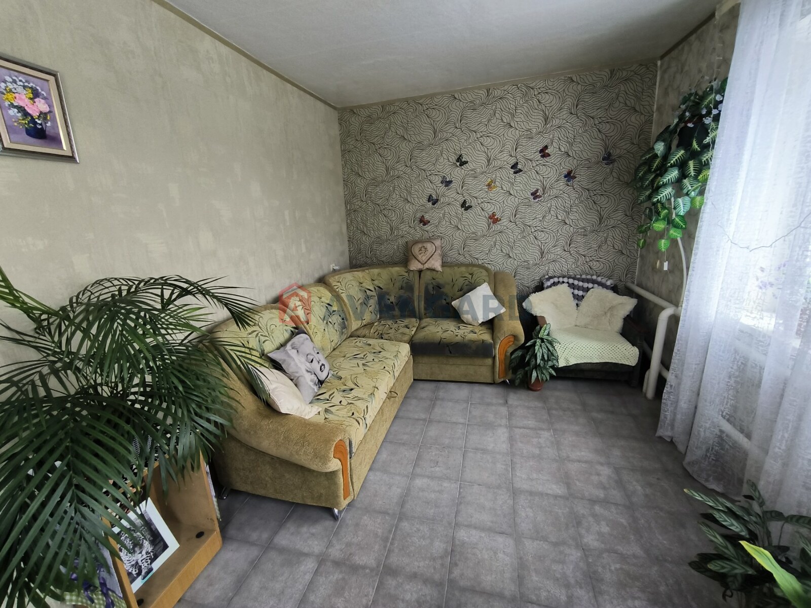 �������, 138 ��.�. ���� 8