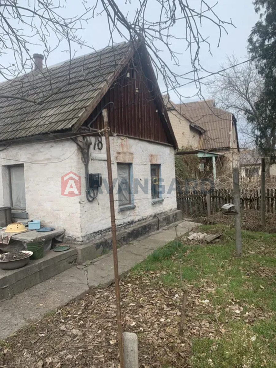 �������, 50 ��.�. ���� 2