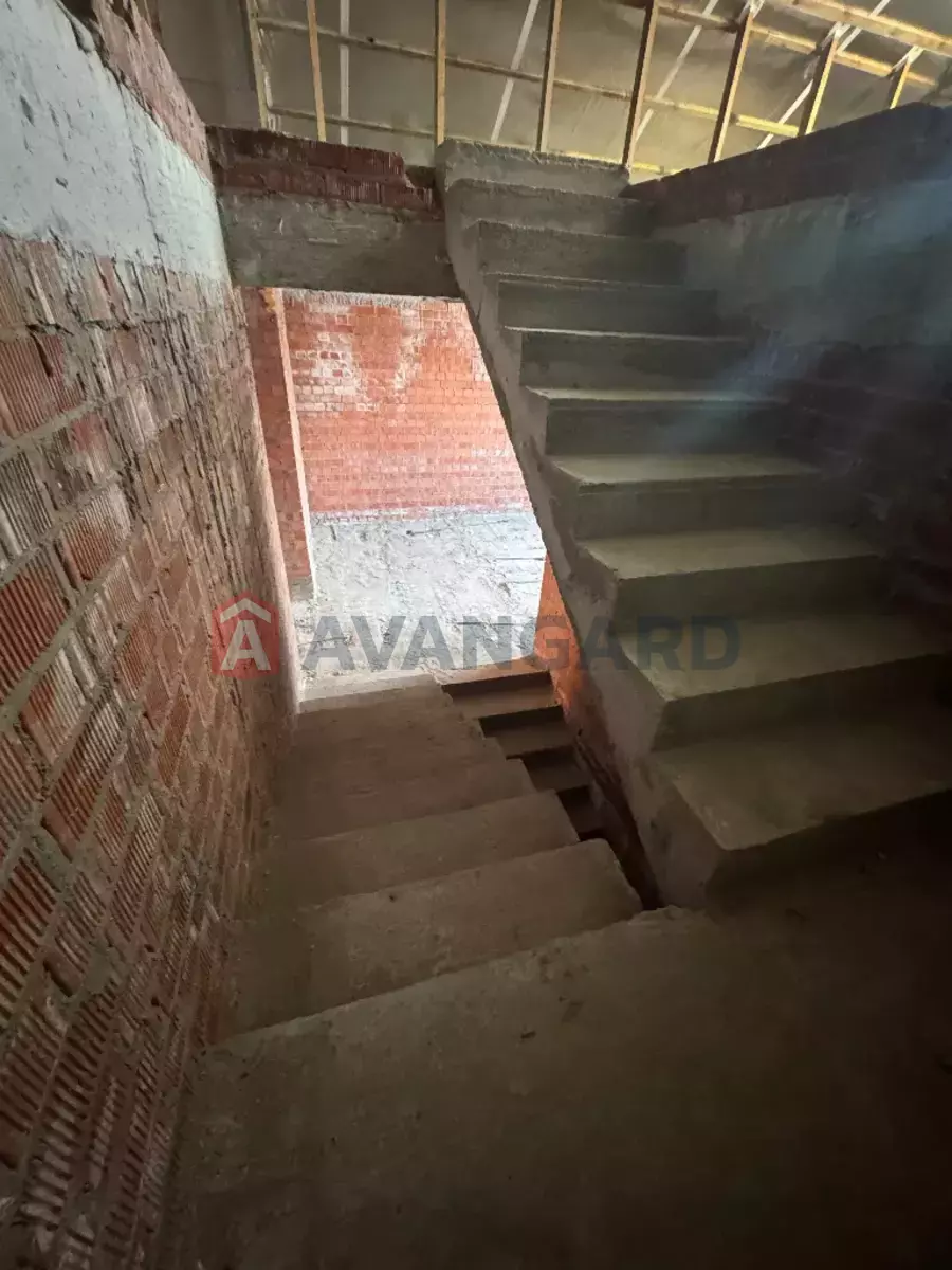 206 ��.�. ���� 17