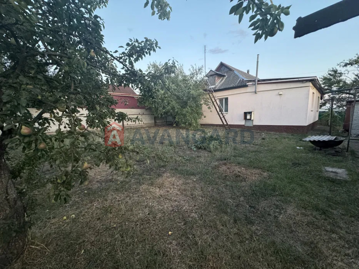 �������, 110 ��.�. ���� 4