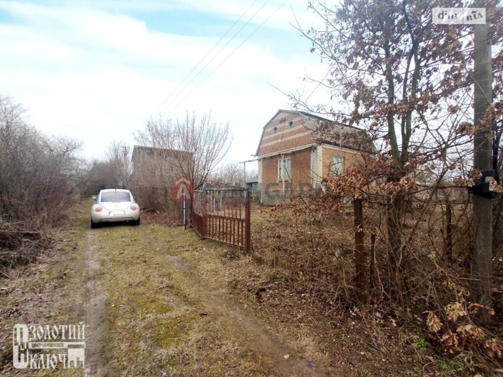 �������, 50 ��.�. ���� 5