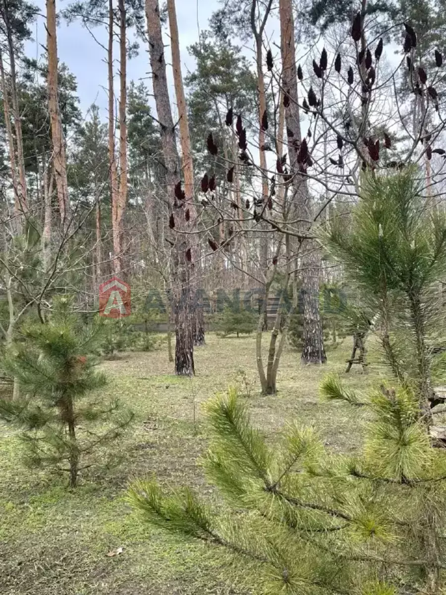 216 ��.�. ���� 8