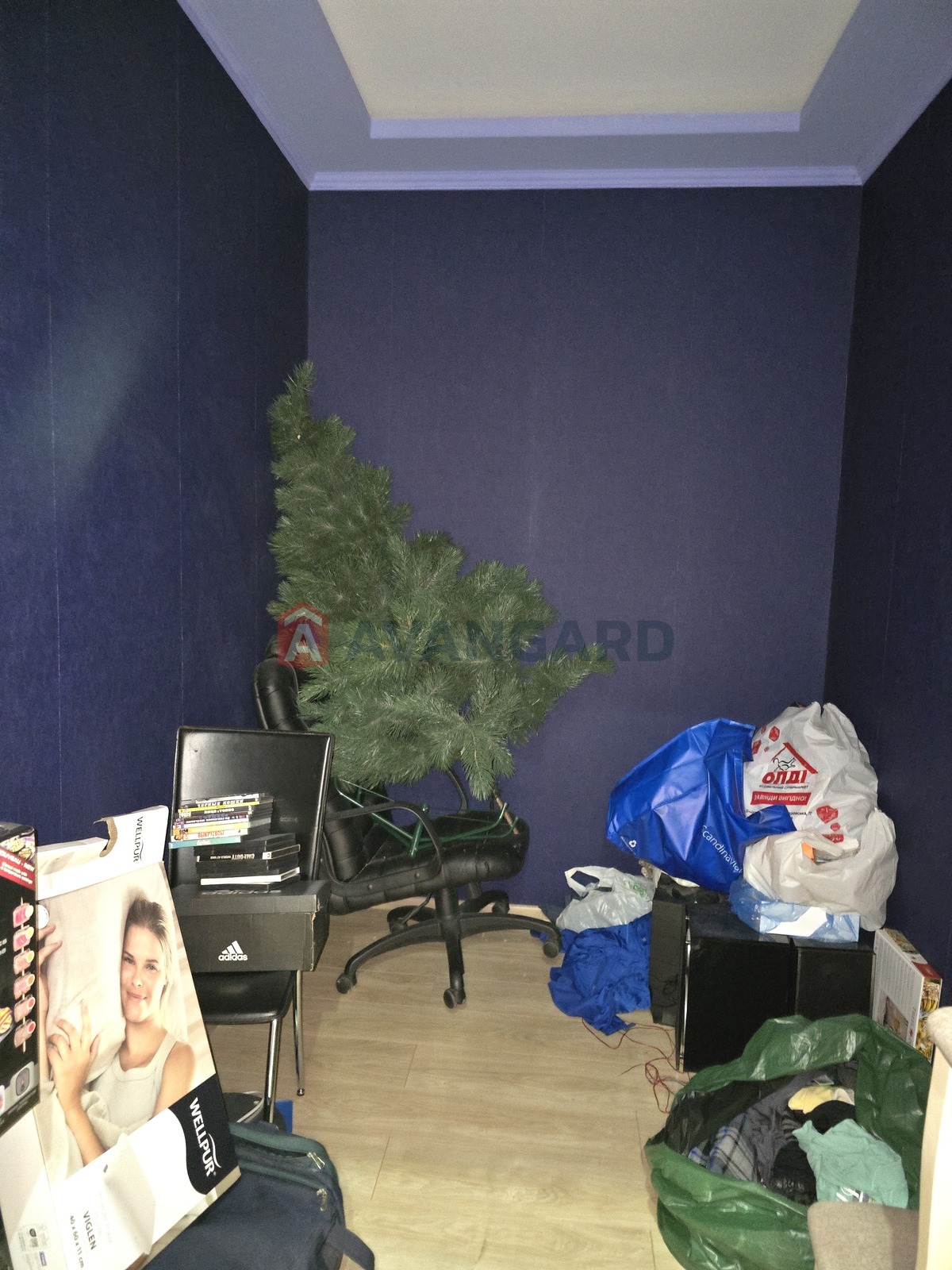 ���, 170 ��.�. ���� 12