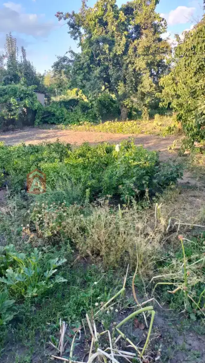 �������, 55 ��.�. ���� 6