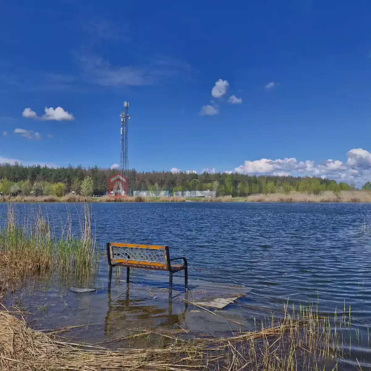 ����, 38 ��.�. ���� 11