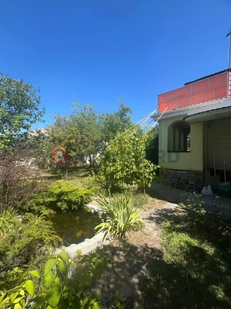 ����, 124 ��.�. ���� 3