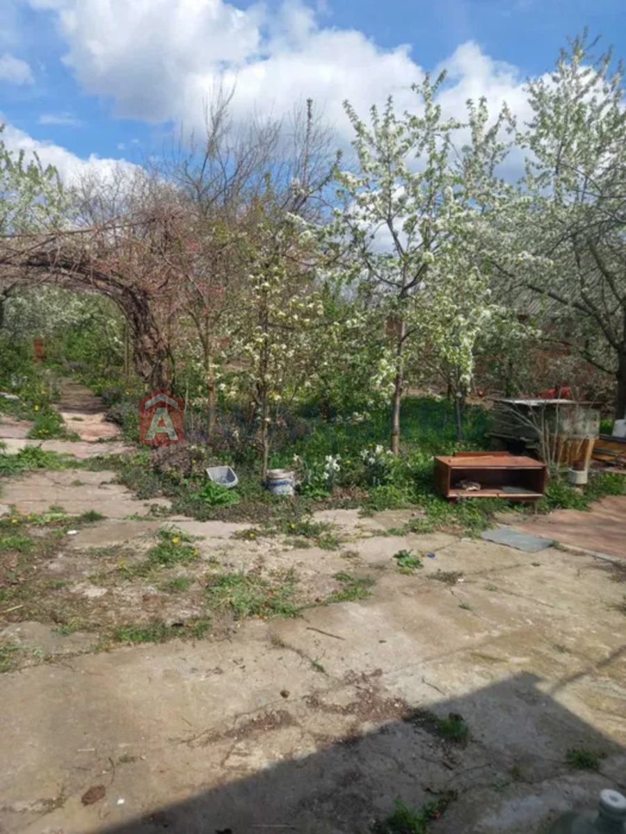 �������, 72 ��.�. ���� 15