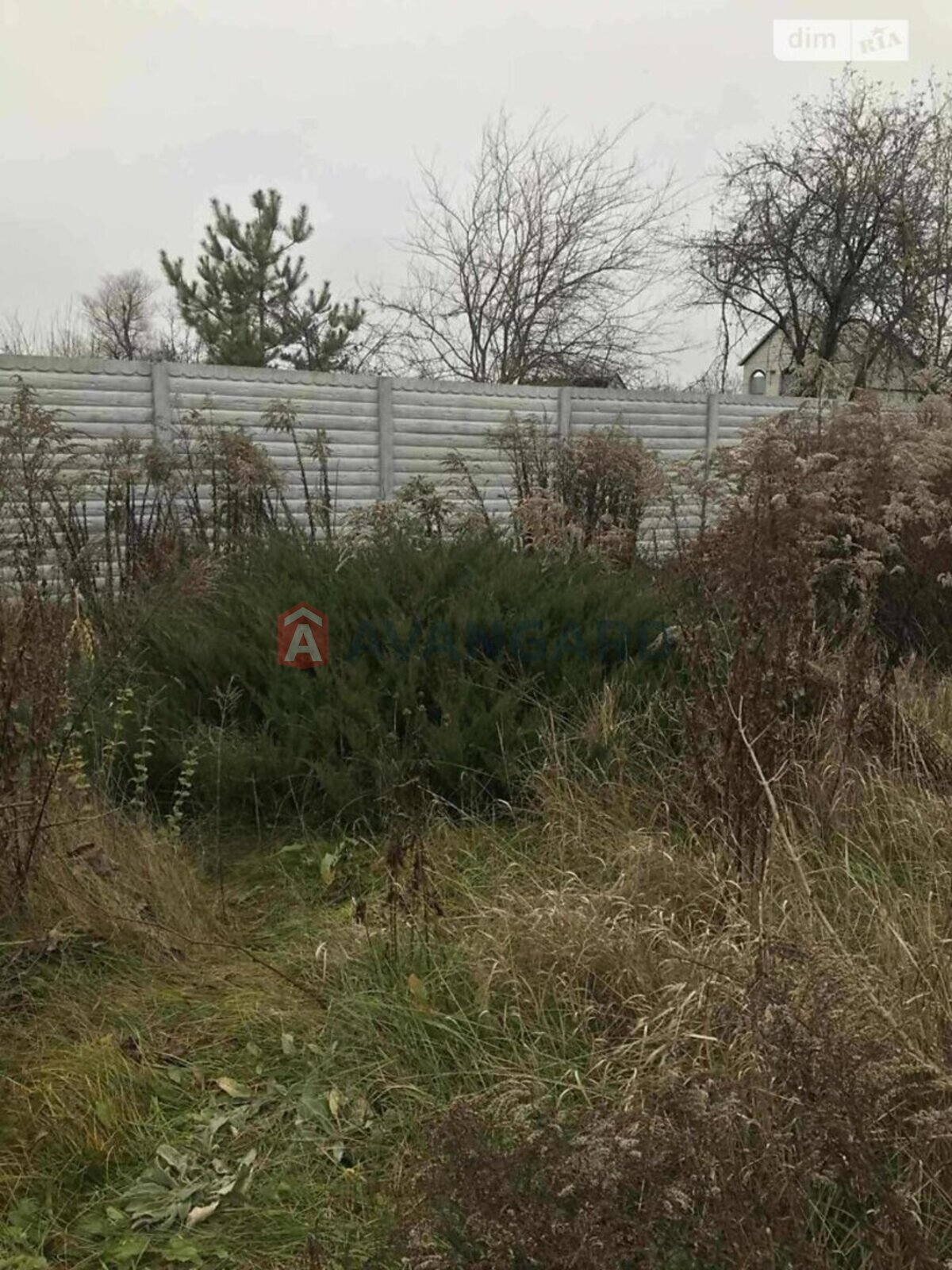 ����, 120 ��.�. ���� 17