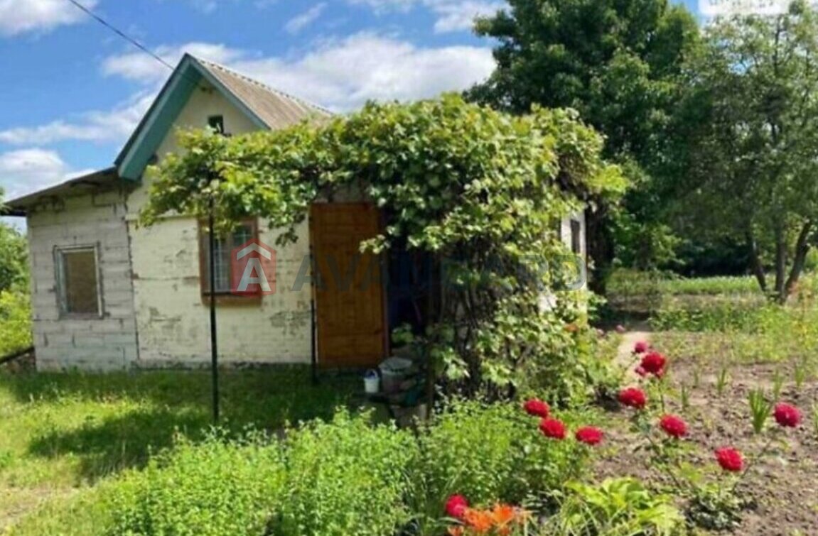 ���, 40 ��.�. ���� 1