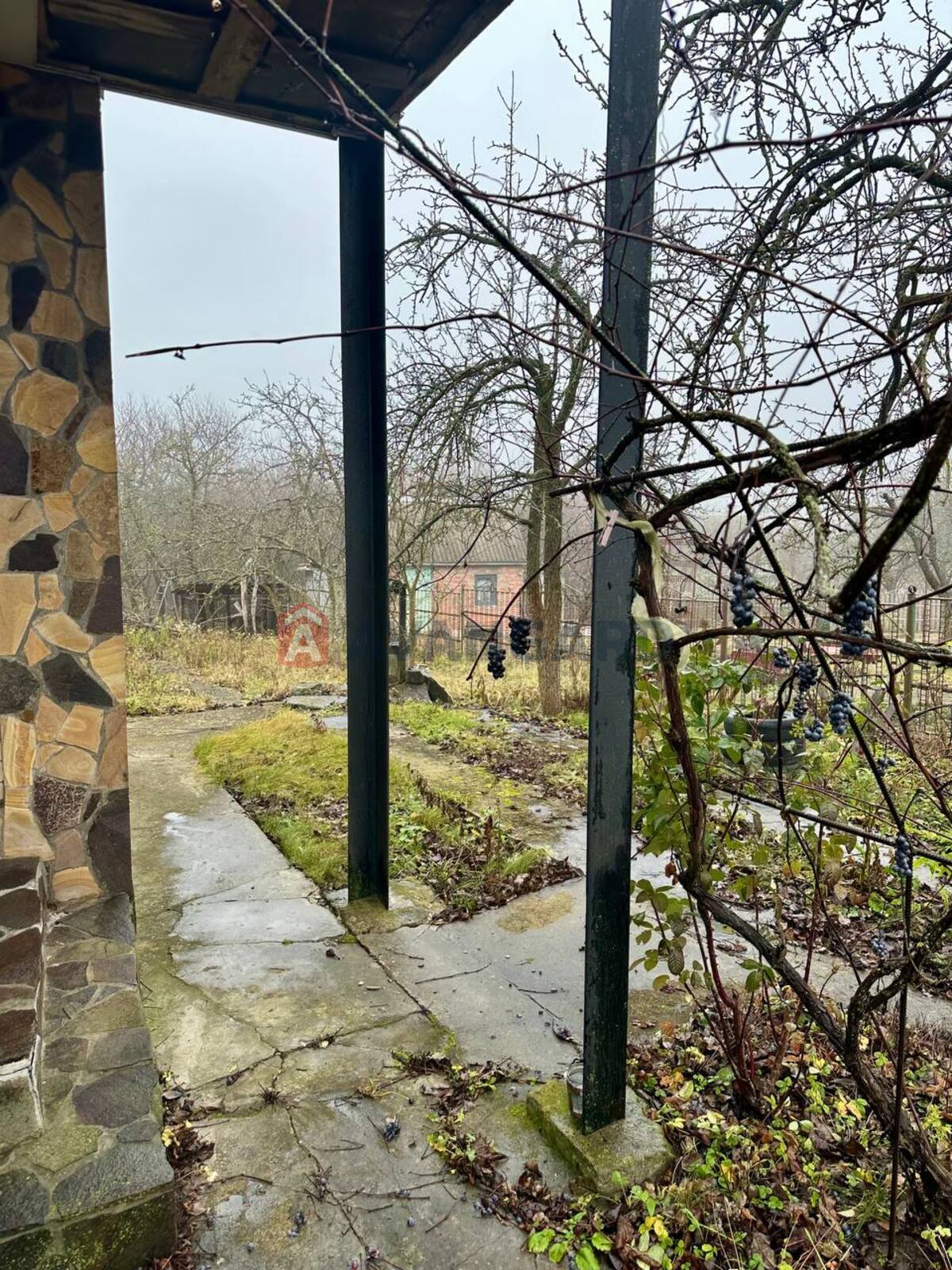 �������, 80 ��.�. ���� 16