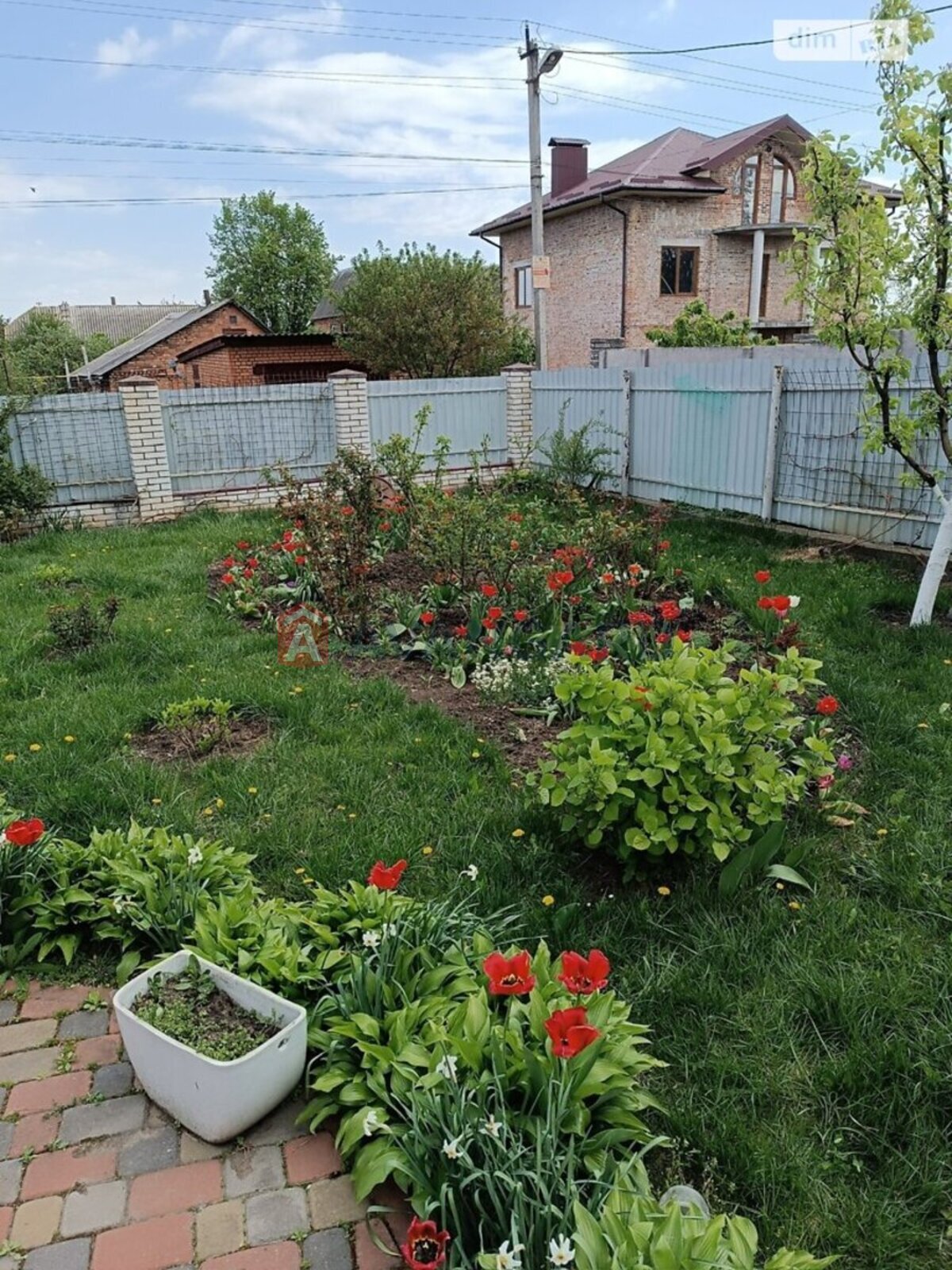 ���, 84 ��.�. ���� 26