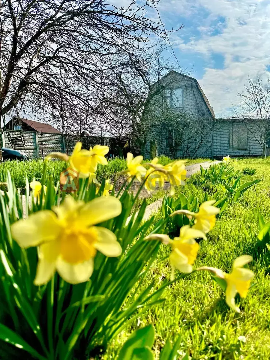 ����, 60 ��.�. ���� 10