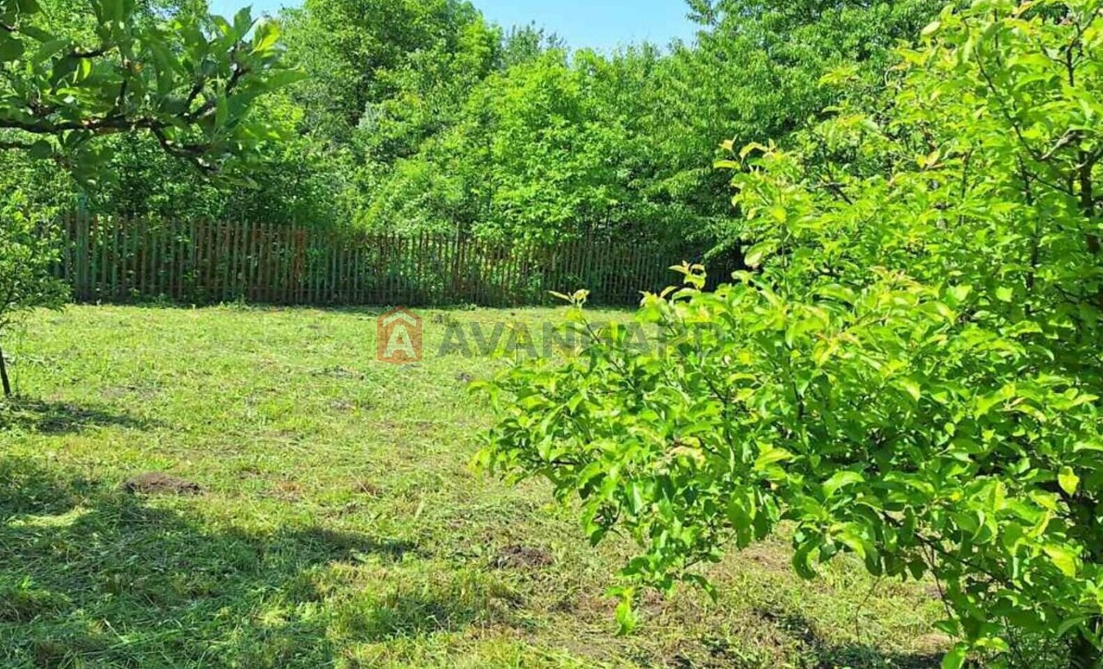 �������, 44 ��.�. ���� 11