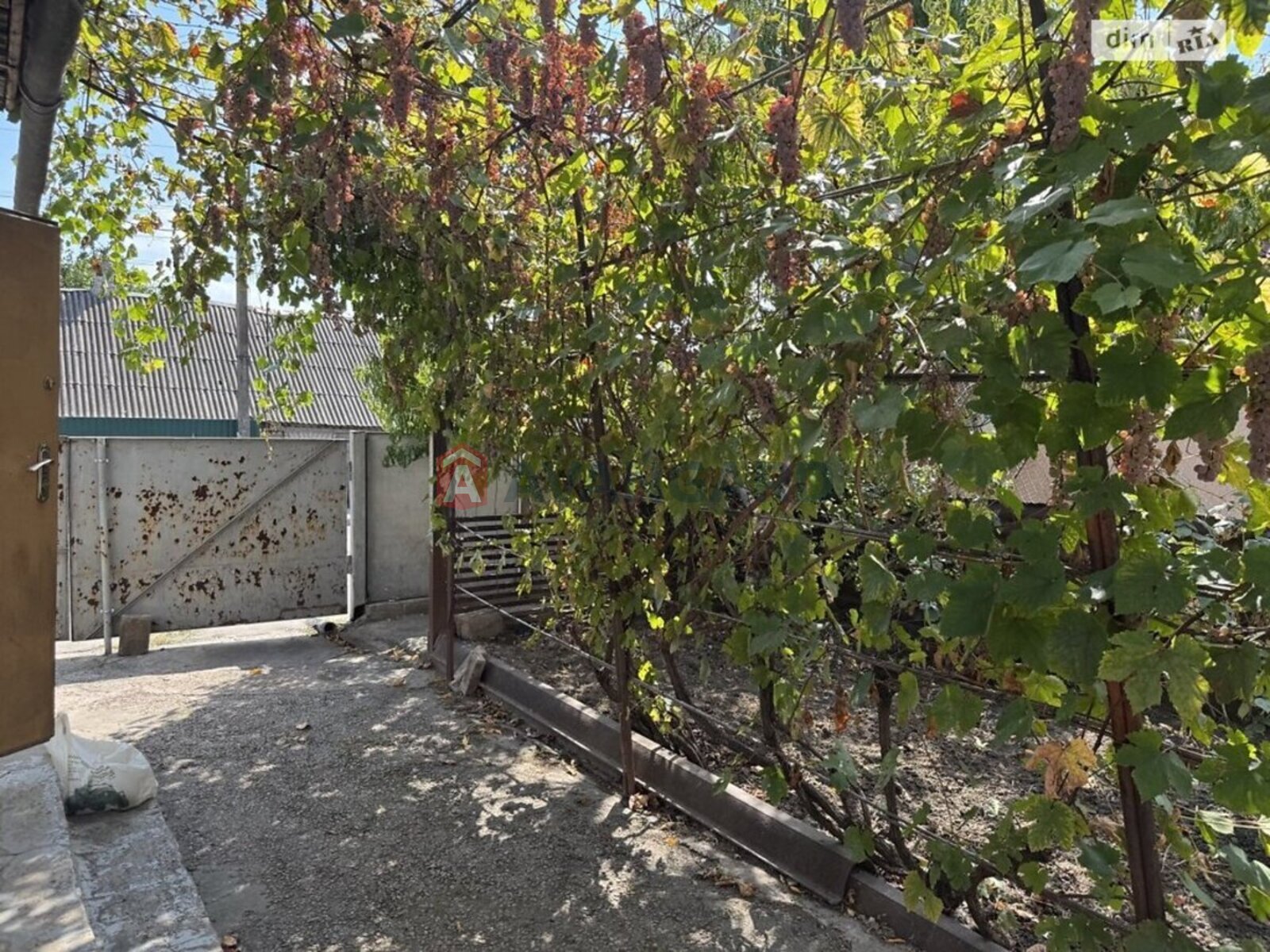 ������� �������, 52 ��.�. ���� 16