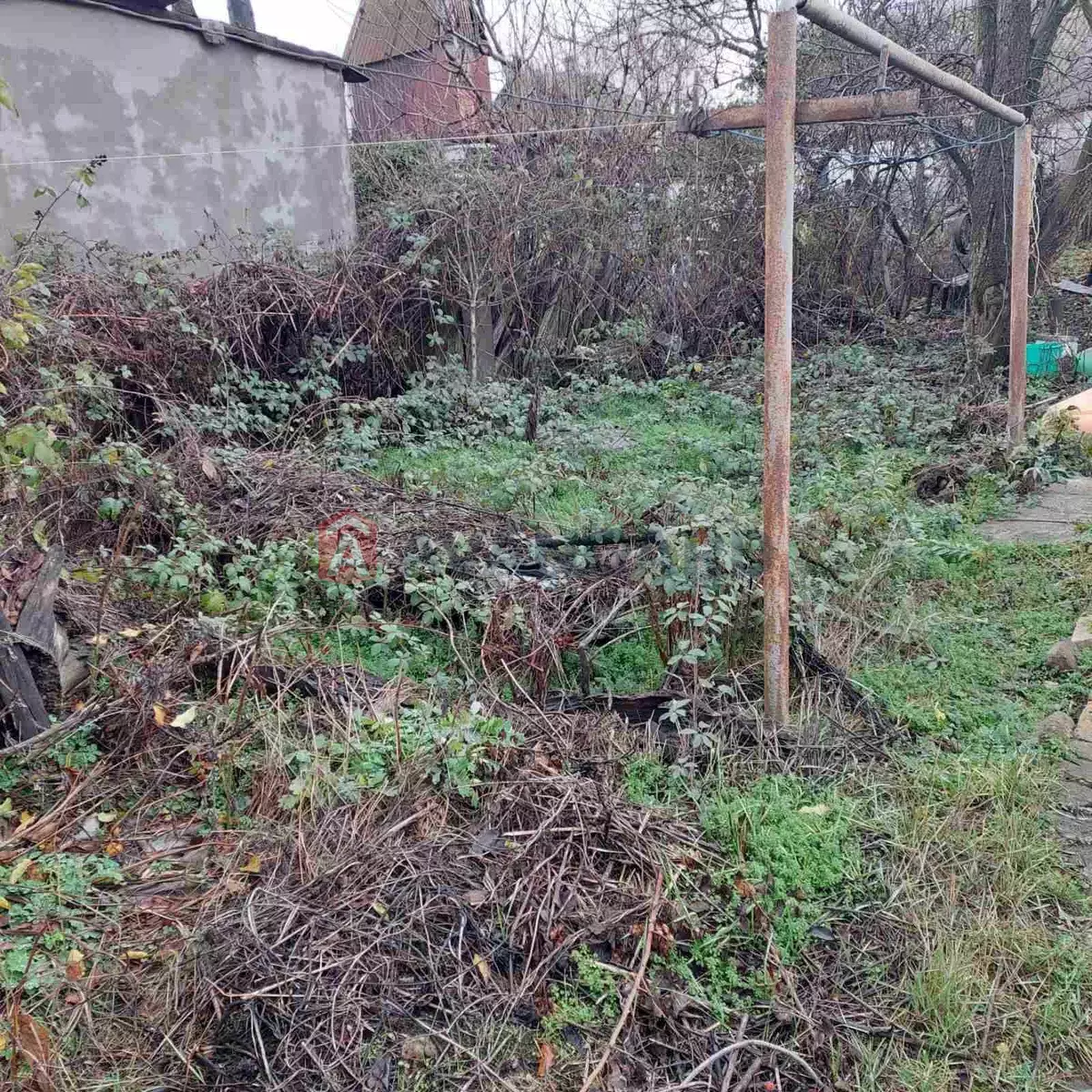 ������� �������, 39 ��.�. ���� 6