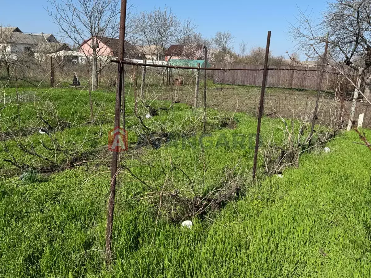 �������, 86 ��.�. ���� 14