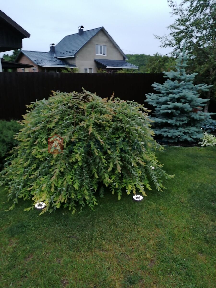 ��������, 130 ��.�. ���� 19