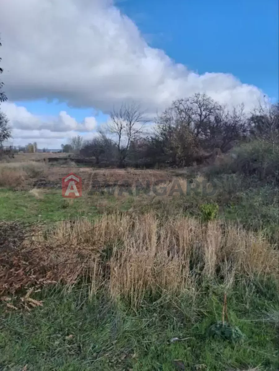 ����� ����, 50 ��.�. ���� 1