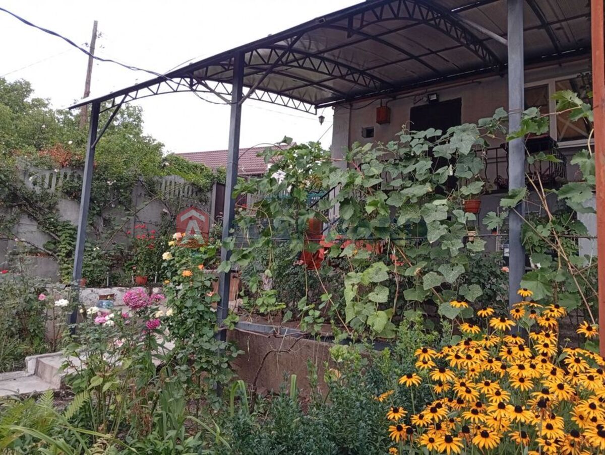 ������� �������, 38 ��.�. ���� 15