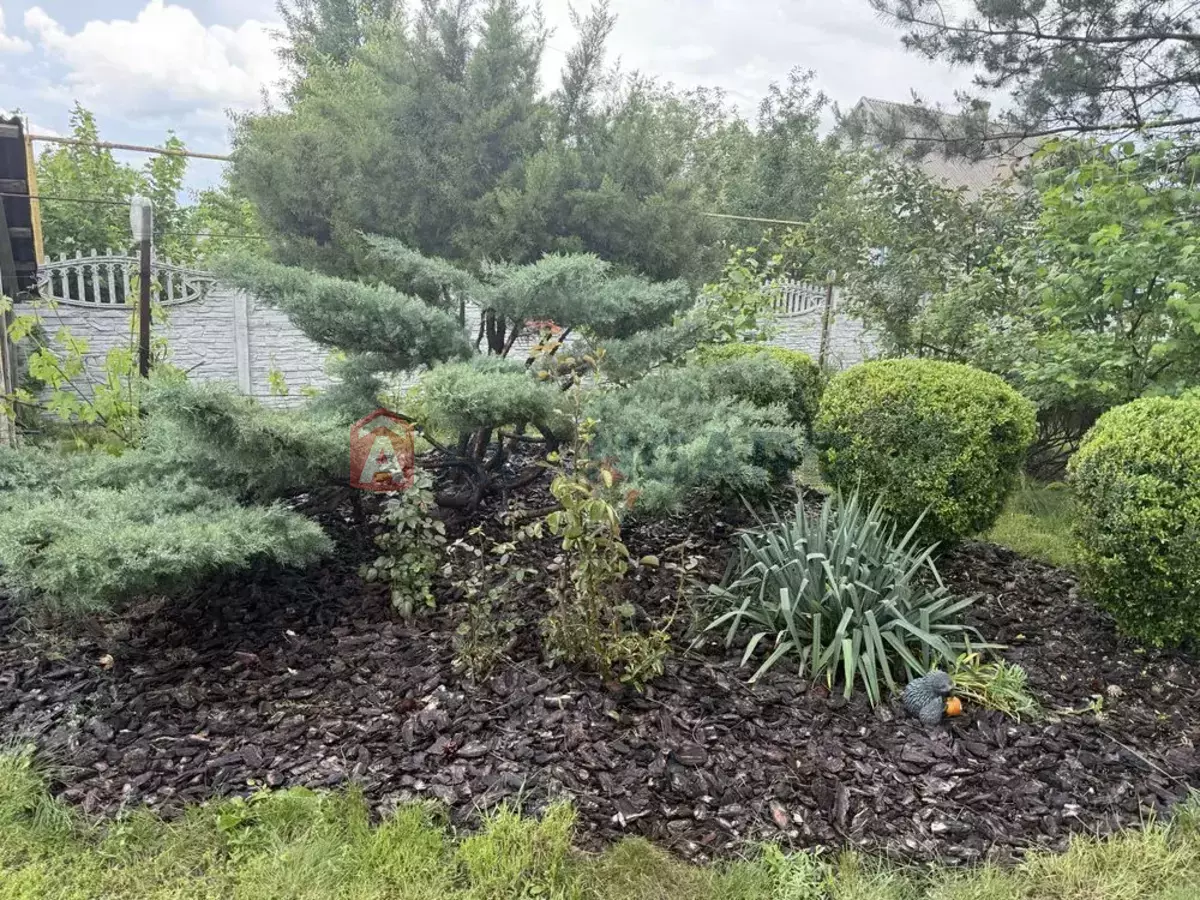 ����, 42 ��.�. ���� 10