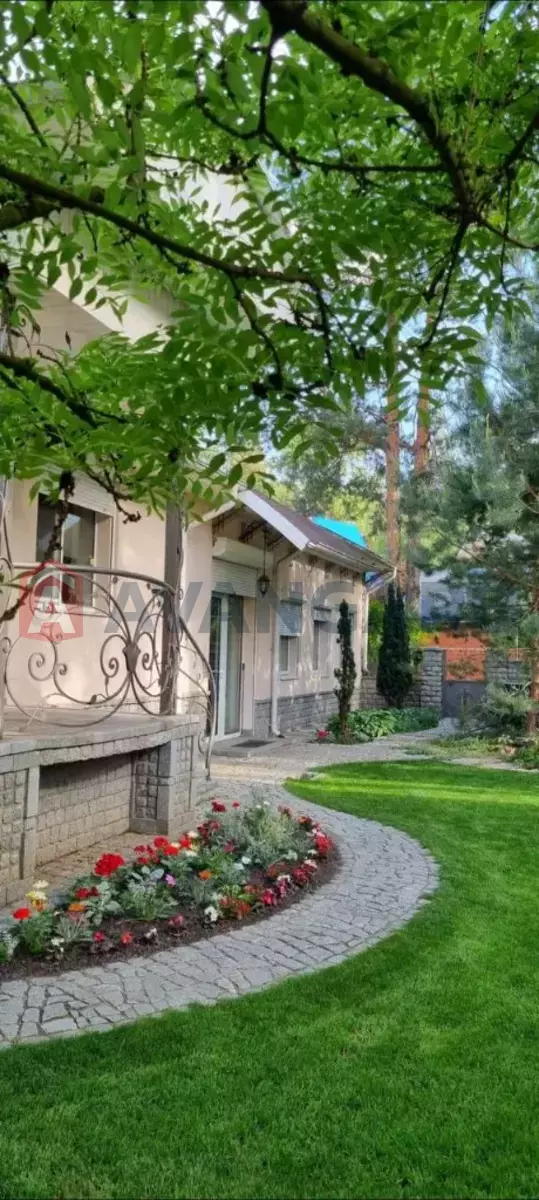 �������, 217 ��.�. ���� 7