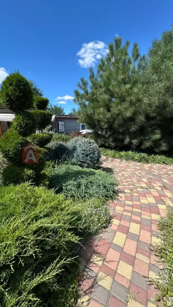 ����, 100 ��.�. ���� 13