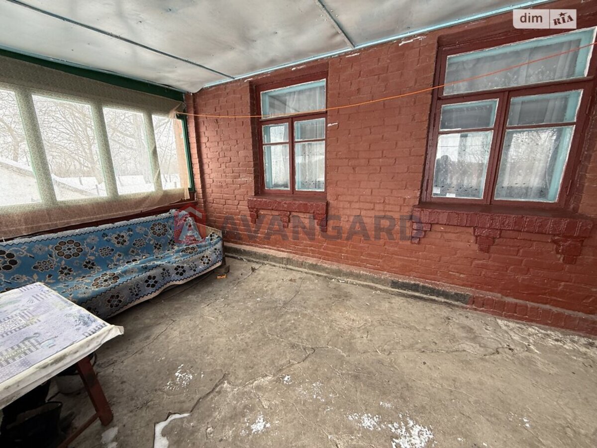 �������, 115 ��.�. ���� 5