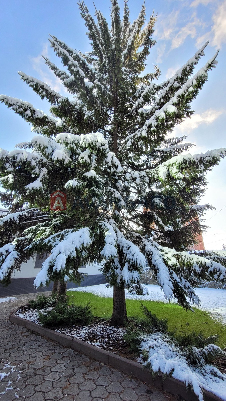 �������, 140 ��.�. ���� 30